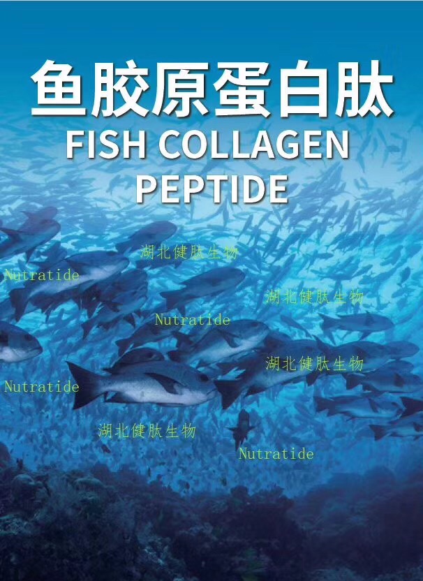 魚膠原蛋白肽 從湖北黃岡到餐桌的健康選擇